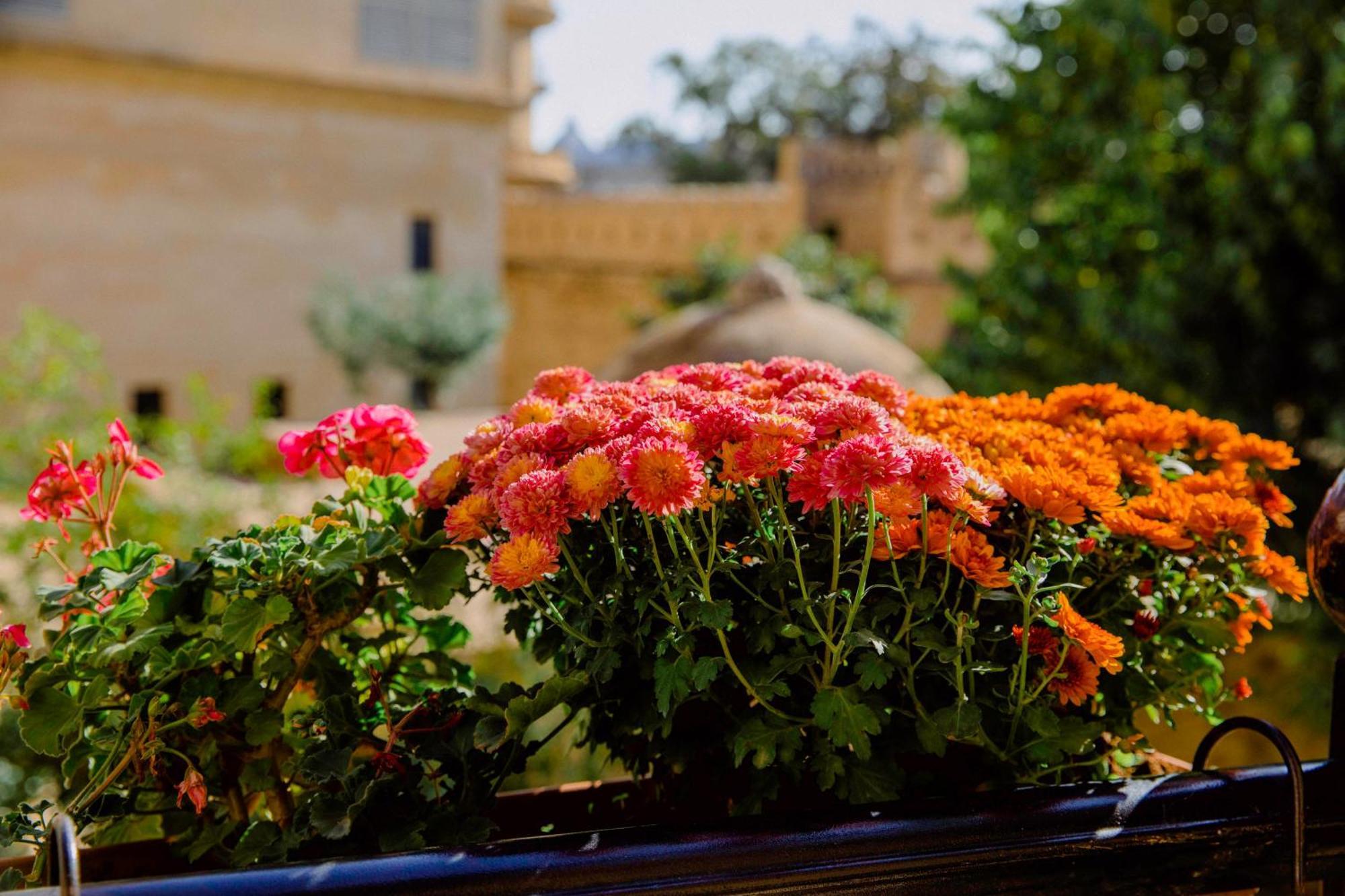 Royal Antique Boutique Hotel Baku Exterior foto